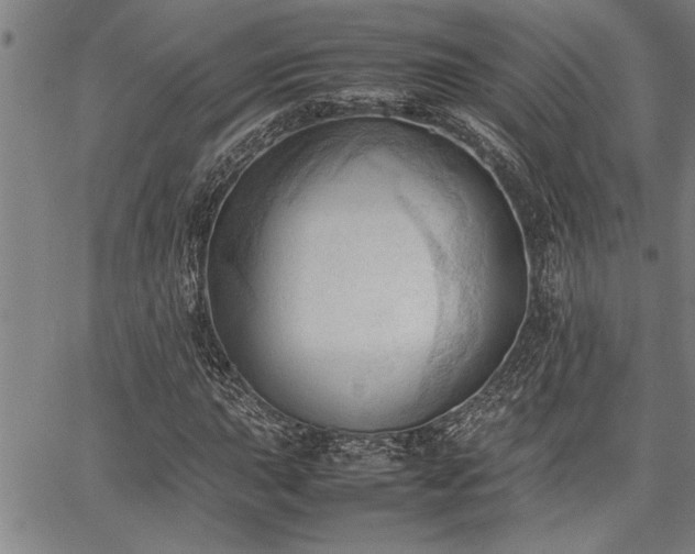 X0000067521015200604071316