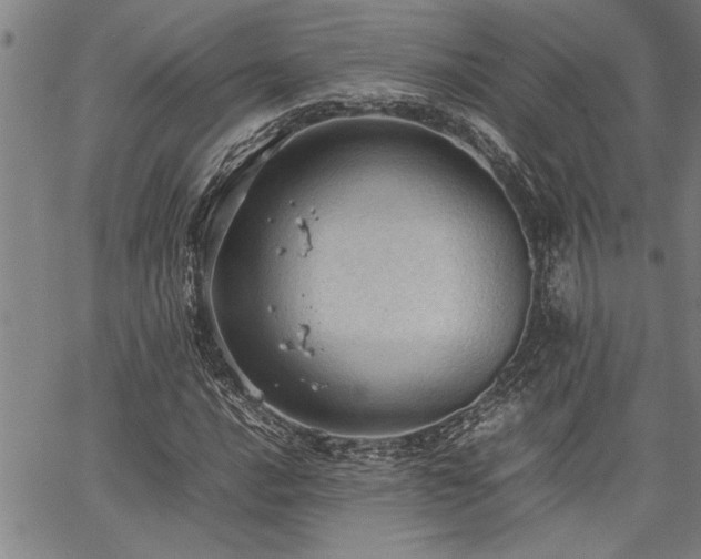 X0000067521016200604071316