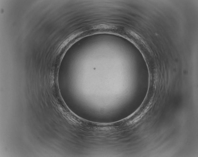 X0000067521017200604071316