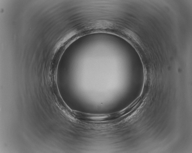 X0000067521018200604071316