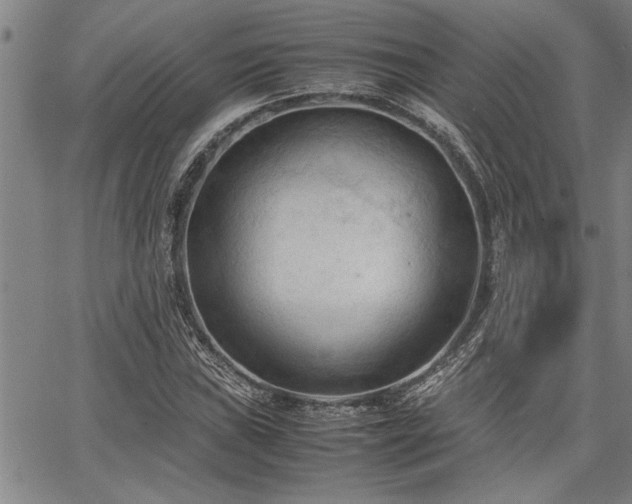 X0000067521019200604071316