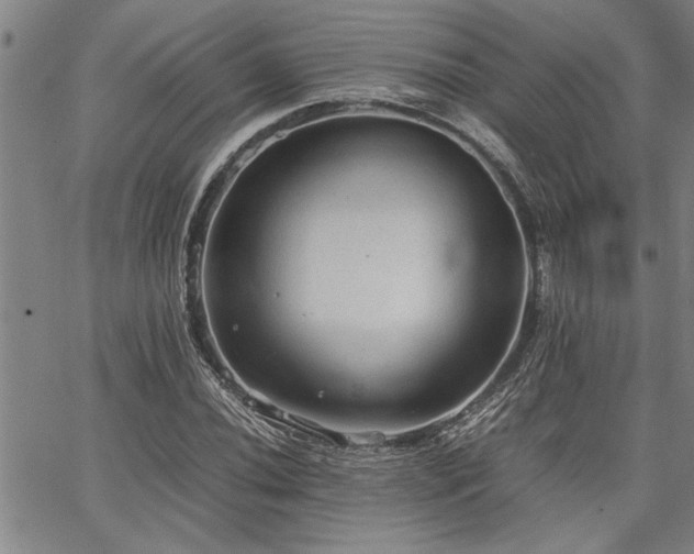 X0000067521020200604071316