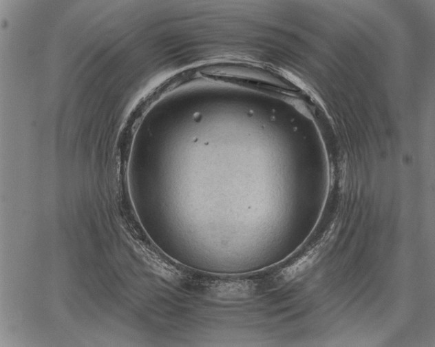 X0000067521021200604071316