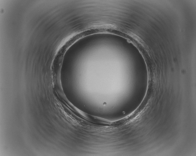 X0000067521022200604071316