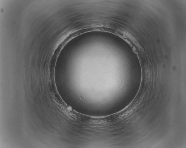 X0000067521023200604071316