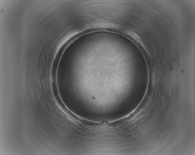 X0000067521024200604071316