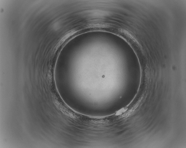 X0000067521025200604071316