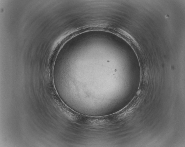 X0000067521027200604071316