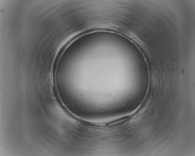 X0000067521028200604071316