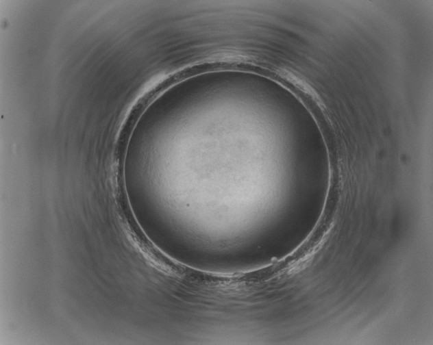 X0000067521029200604071316