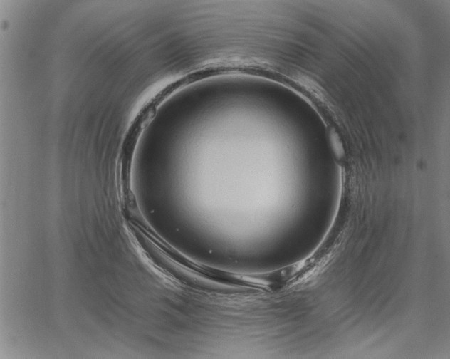 X0000067521030200604071316