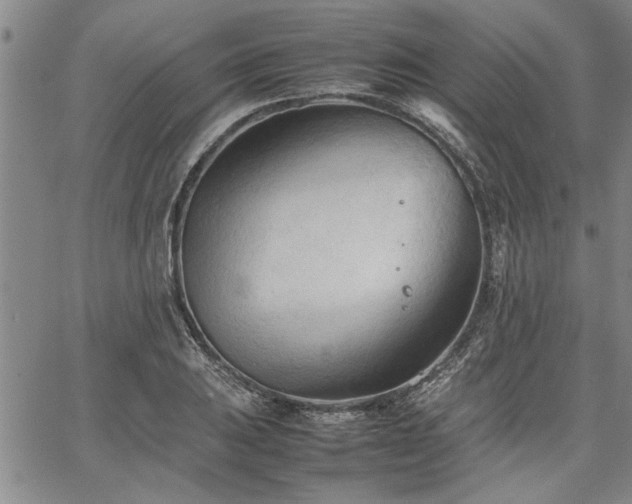 X0000067521031200604071316