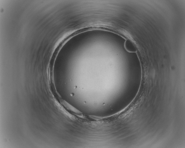 X0000067521032200604071316