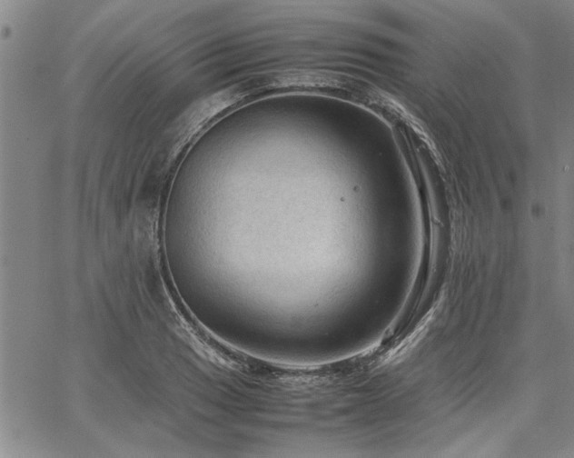 X0000067521033200604071316