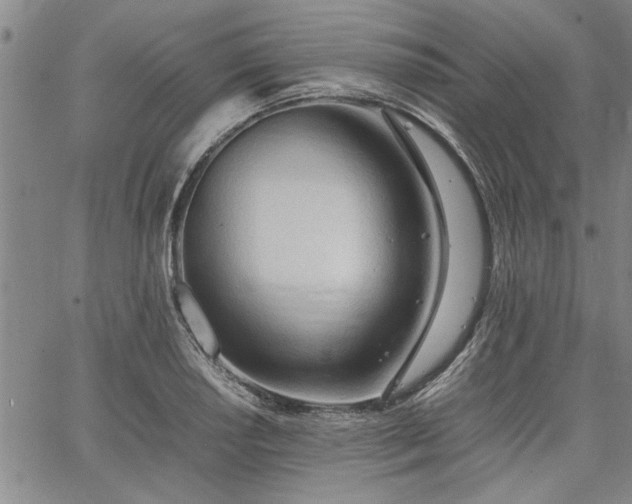 X0000067521034200604071316