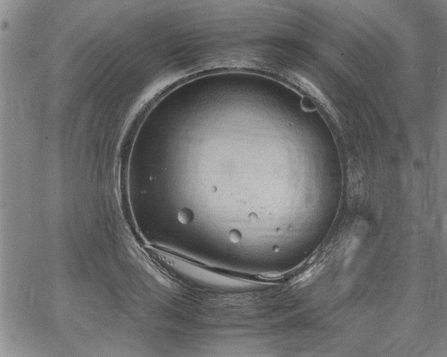 X0000067521035200604071316