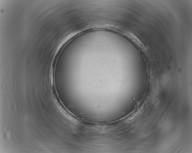 X0000067521036200604071316