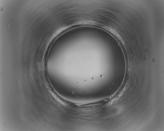 X0000067521037200604071316