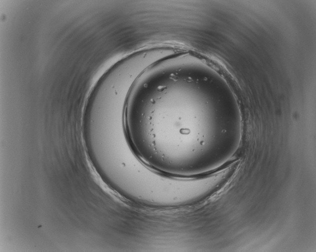 X0000067521038200604071316