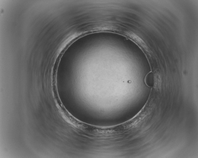 X0000067521039200604071316