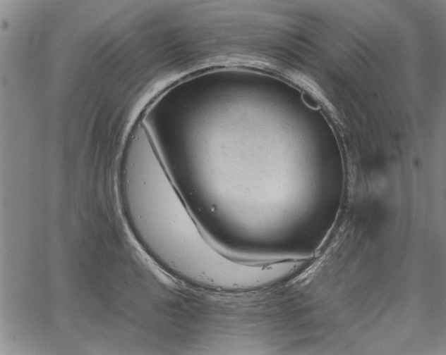 X0000067521040200604071316