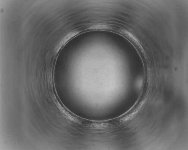 X0000067521041200604071316