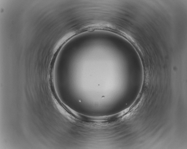 X0000067521042200604071316