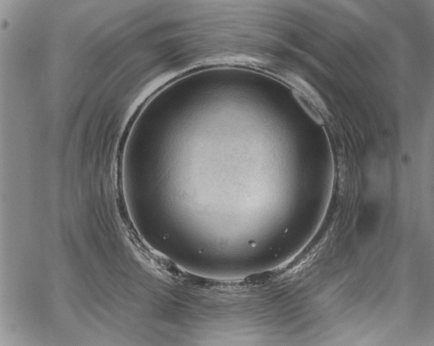 X0000067521044200604071316