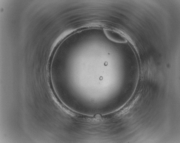 X0000067521045200604071316