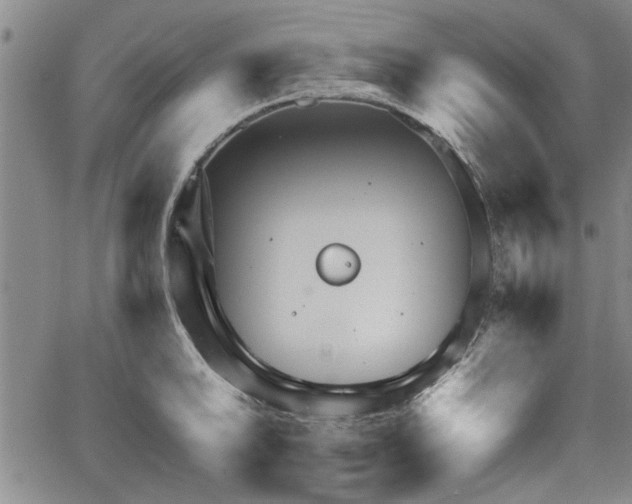 X0000067521046200604071316