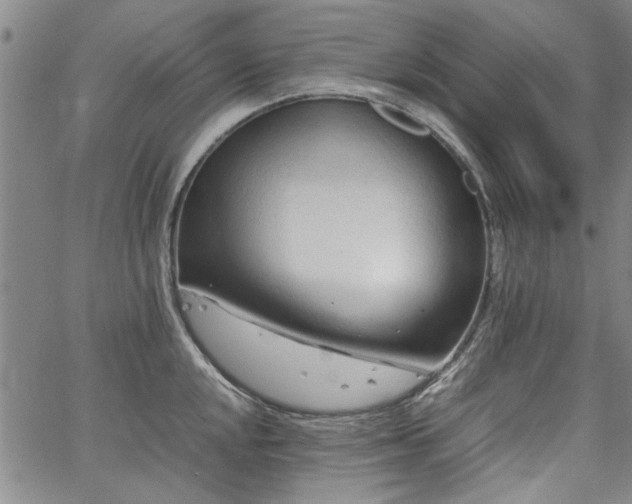 X0000067521048200604071316