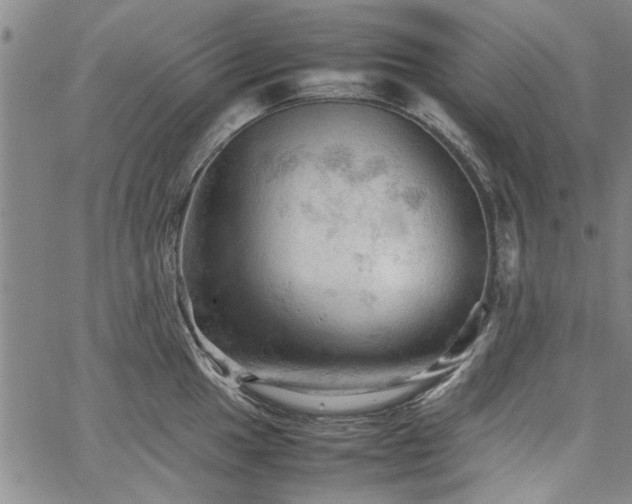 X0000067521049200604071316