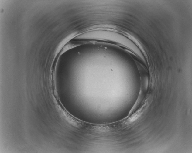 X0000067521050200604071316