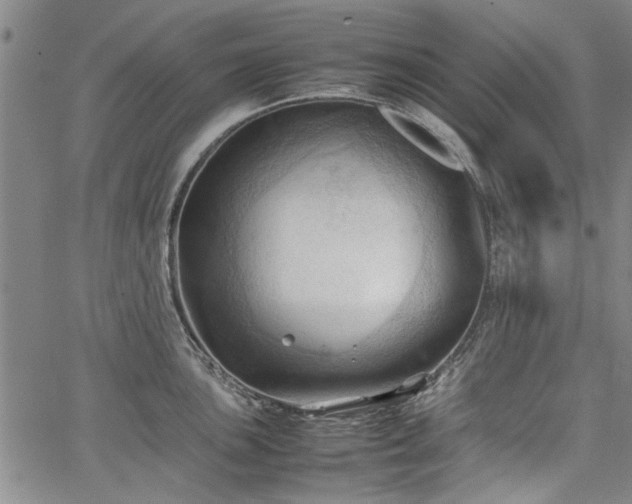 X0000067521051200604071316