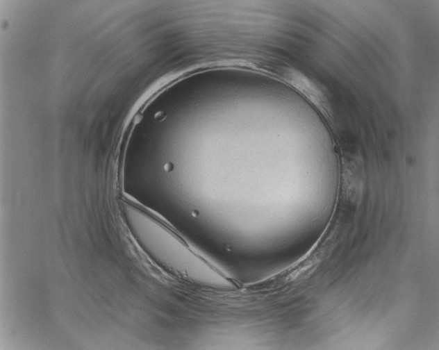 X0000067521052200604071316