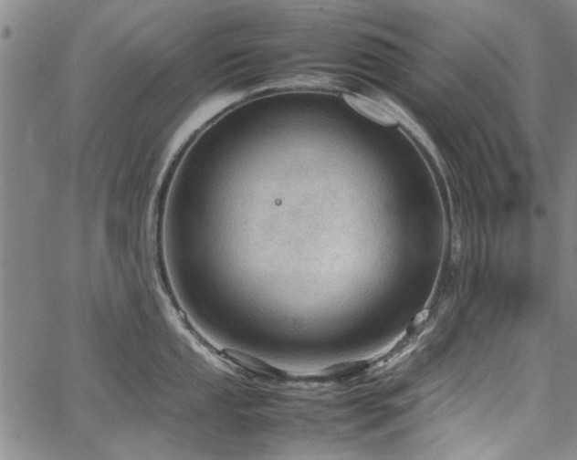 X0000067521053200604071316