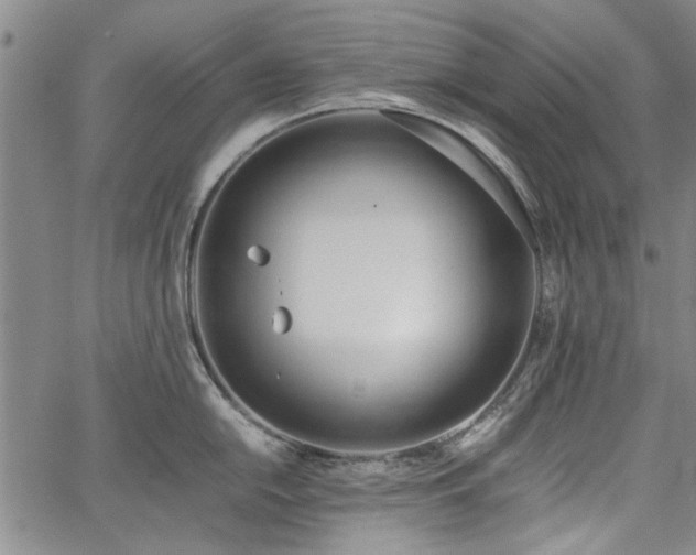 X0000067521054200604071316