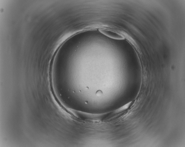 X0000067521055200604071316