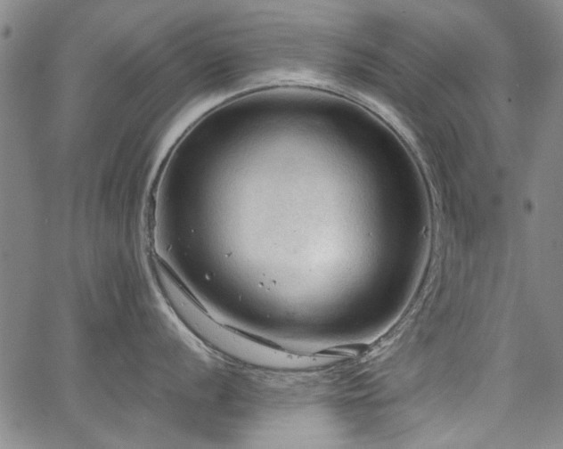 X0000067521056200604071316