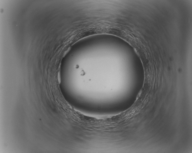 X0000067521057200604071316