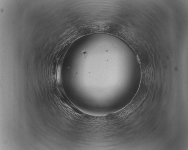 X0000067521058200604071316