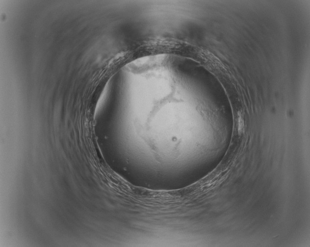 X0000067521059200604071316