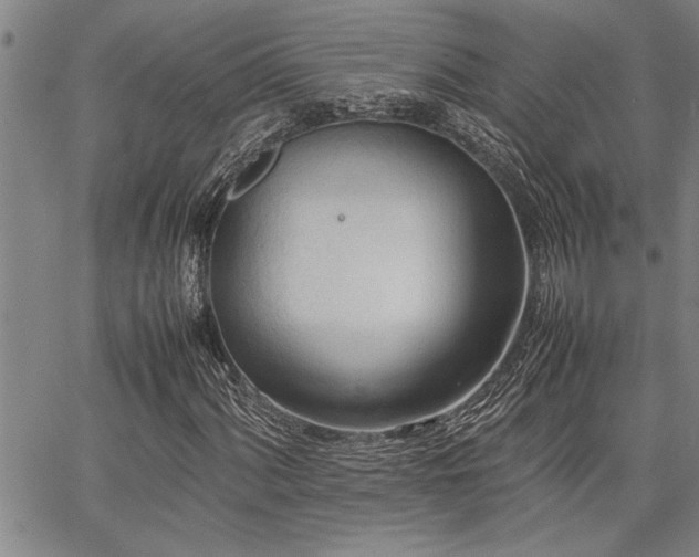 X0000067521060200604071316