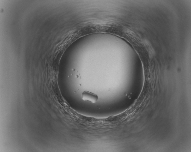 X0000067521061200604071316