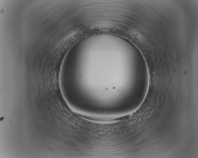 X0000067521062200604071316