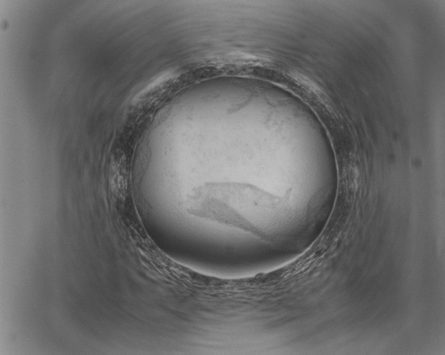 X0000067521063200604071315