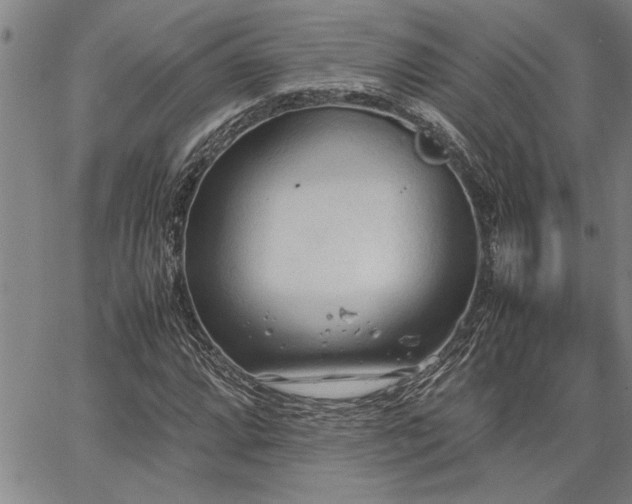 X0000067521064200604071315