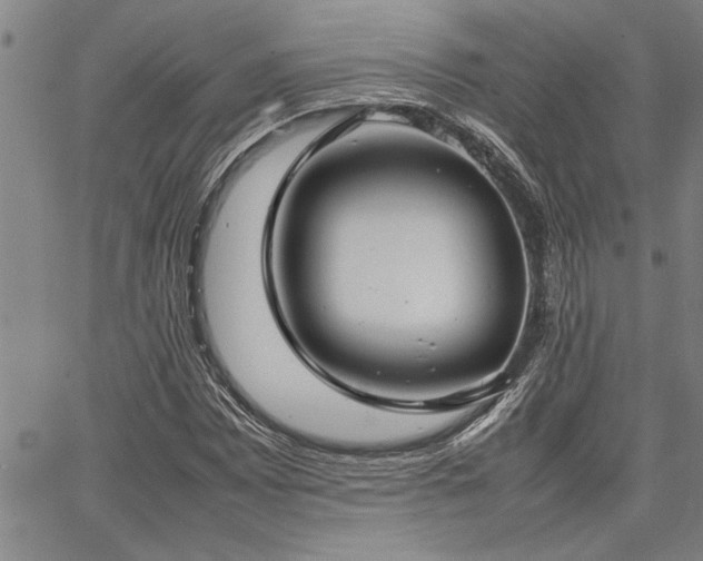 X0000067521065200604071315