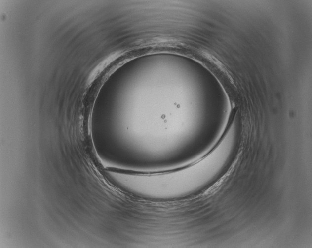 X0000067521066200604071315