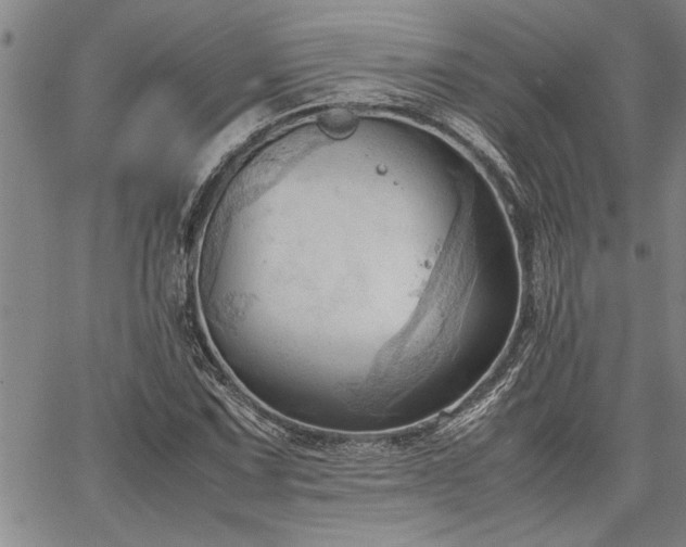 X0000067521067200604071315